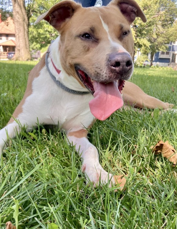 Columbo, who has been at the Cleveland APL for 18 months, on a field trip